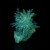 Aragonite (fluorescent) Eugui M05519